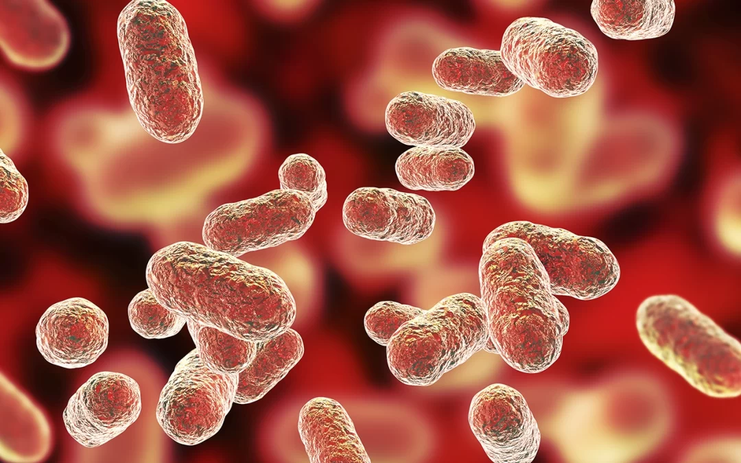 How can probiotic oral bacteria help eliminate bad germs in your mouth?